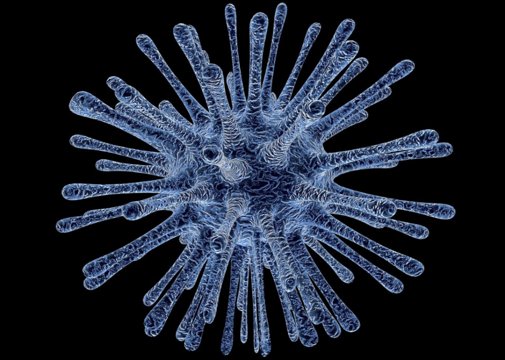 Virus